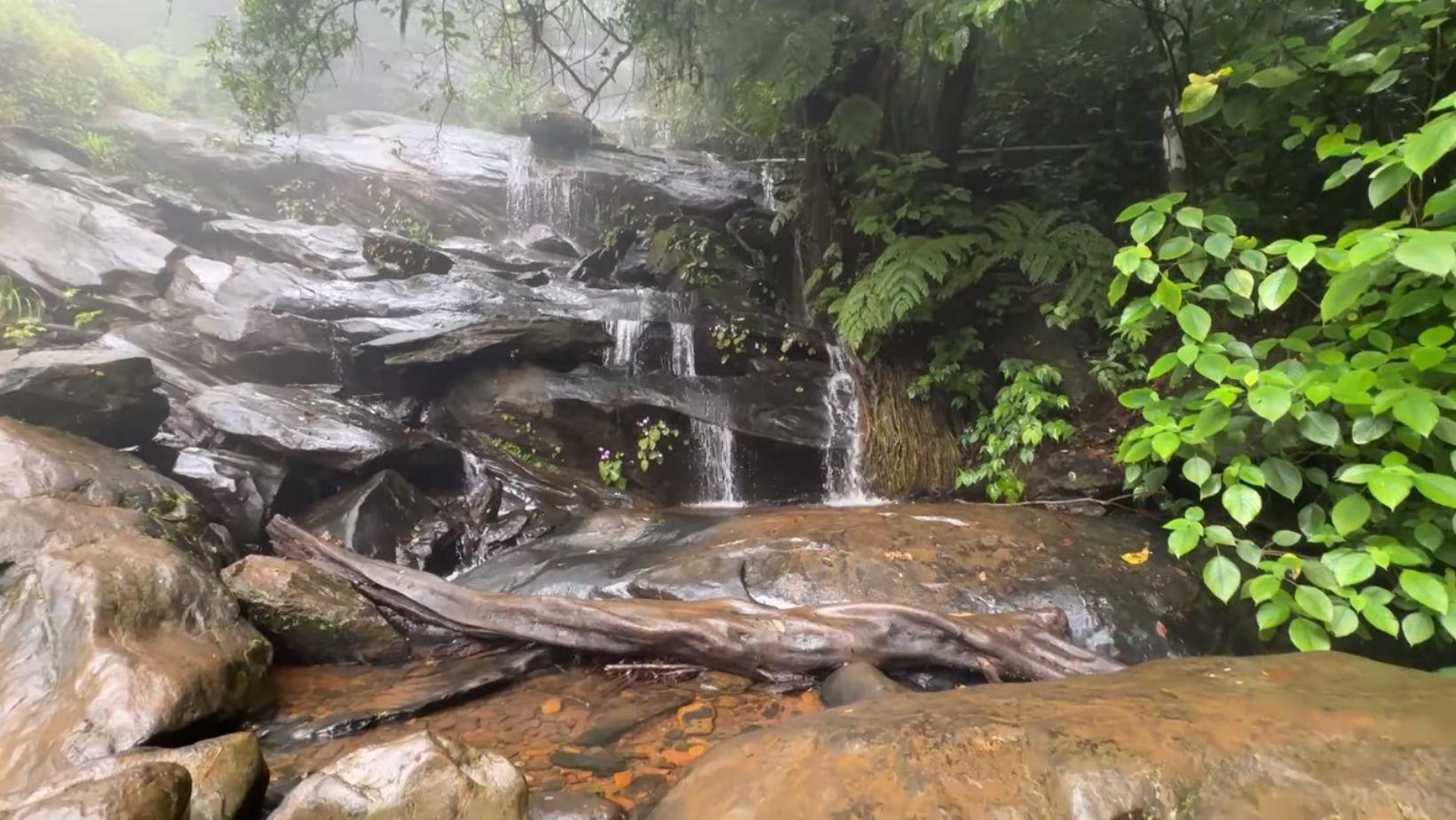 Kudremukh National Park Timings Trekking Entry Fees