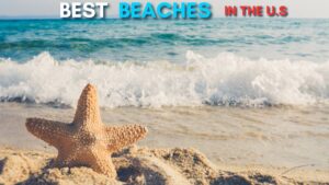 Best Beaches in the United States: From Hawaii to Florida