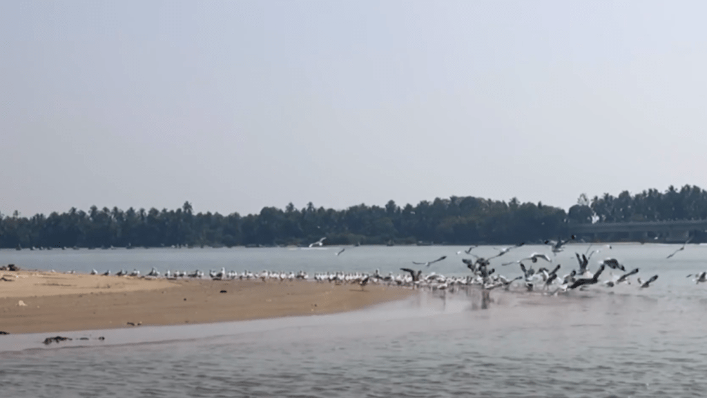 Kadalundi Bird Sanctuary