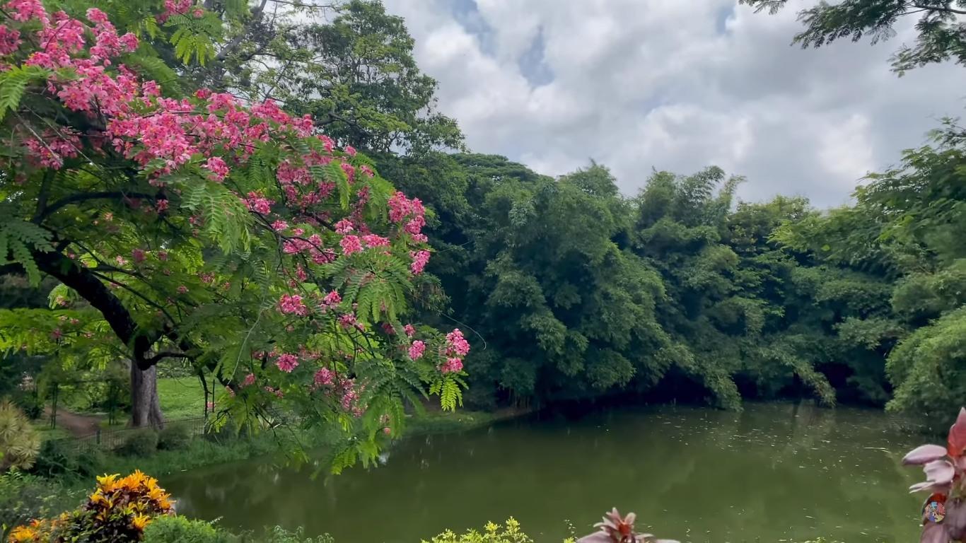 Lalbagh Botanical Garden: History, Timings, Entry Fee, Nearby Places!