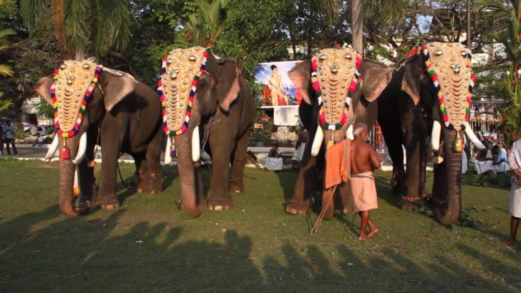 ernakulam shiva temple festival