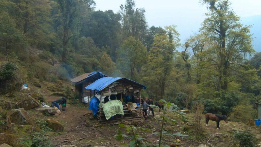 Khangchendzonga National Park Photo