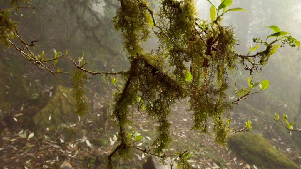 Khangchendzonga National Park Image