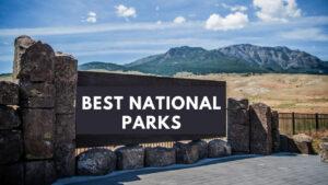 Best National Parks to Visit in India