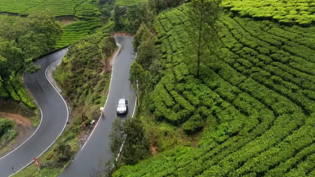 Munnar, Kerala Photos