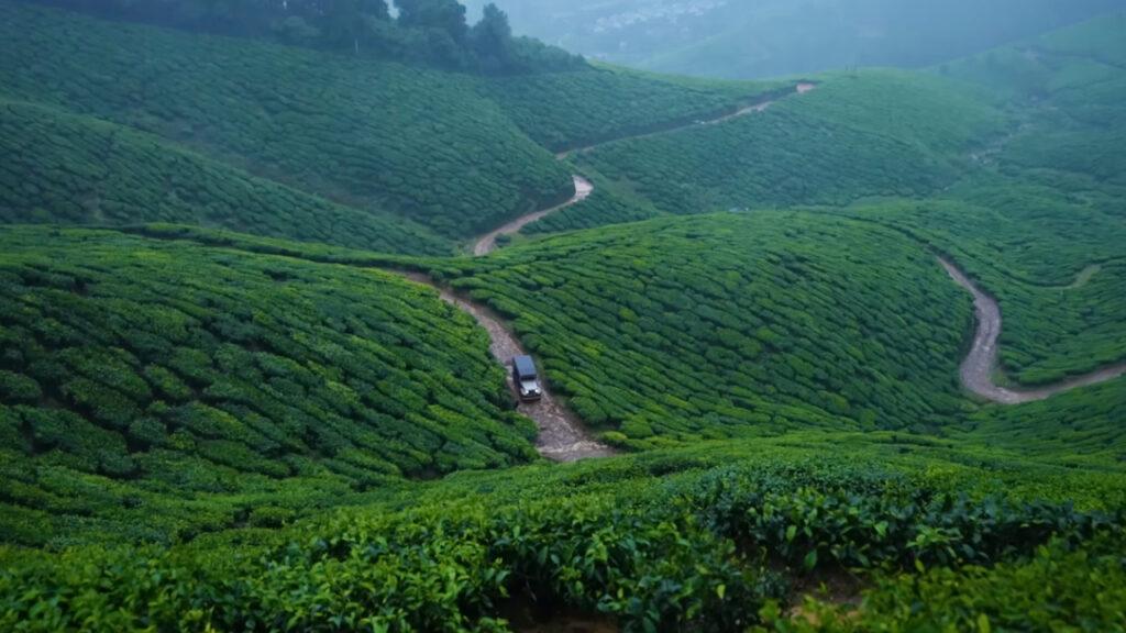 Munnar, Kerala