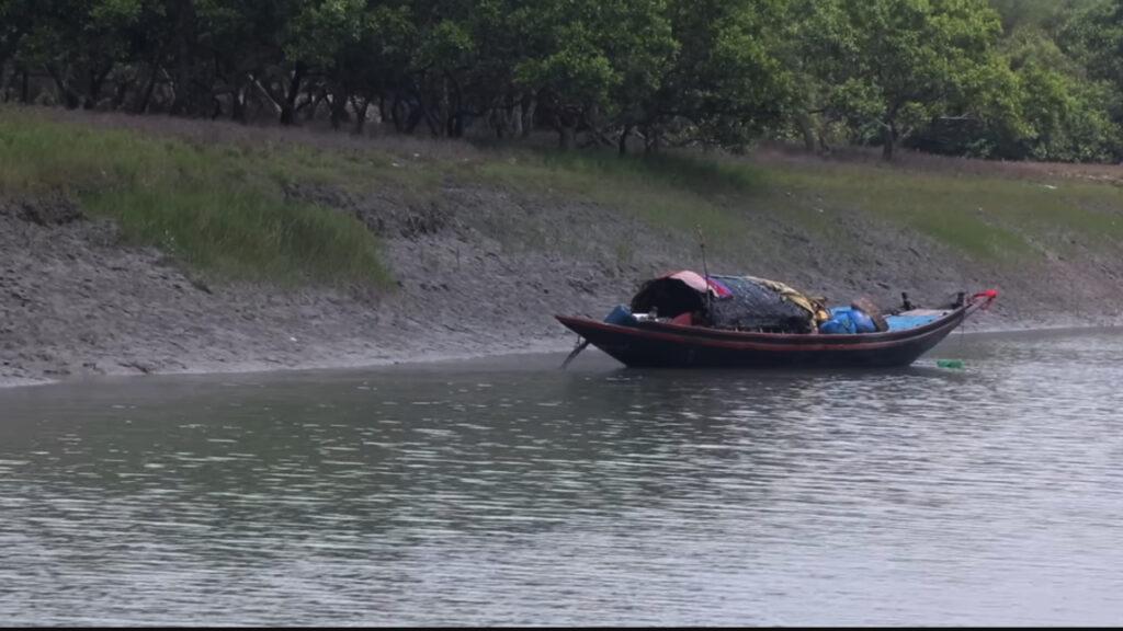 Sundarbans Mangrove Forest