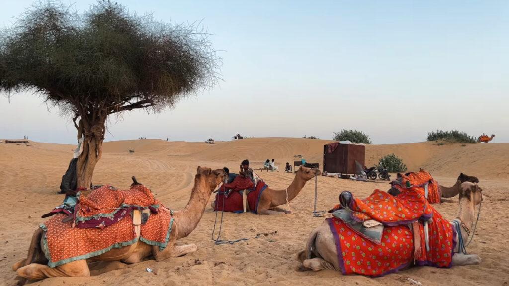 Jaisalmer, Rajasthan