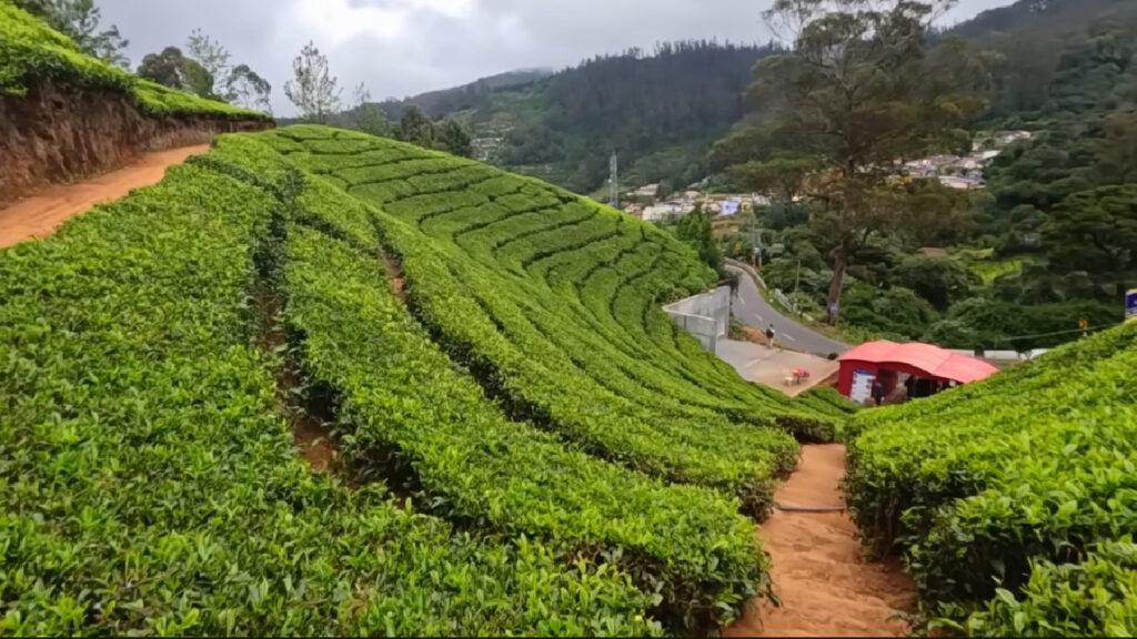 Places to Visit near Ooty Photos