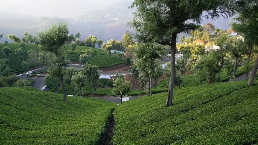 Ooty from Coimbatore