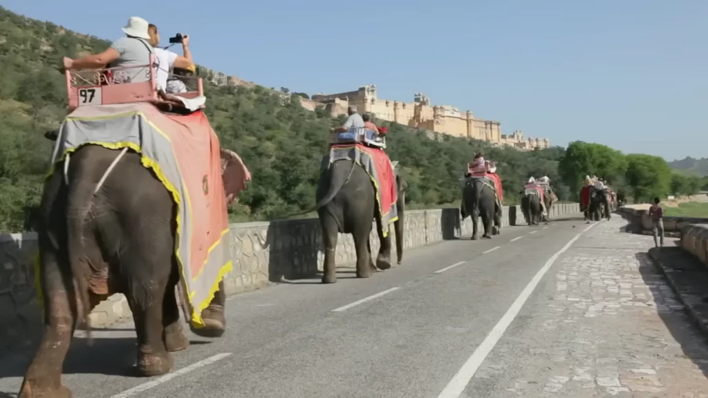 amber fort pictures