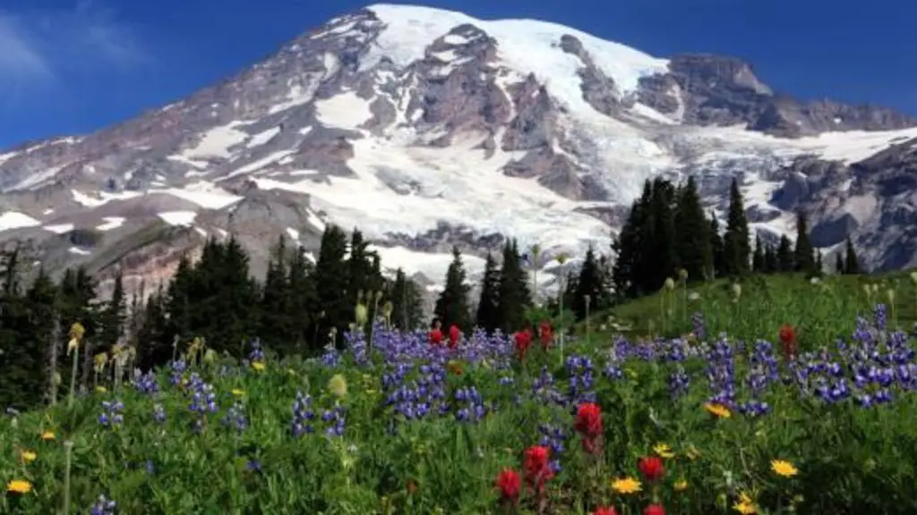 Mount Rainier National Park