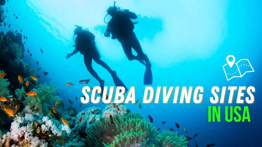 best scuba diving destinations in the usa